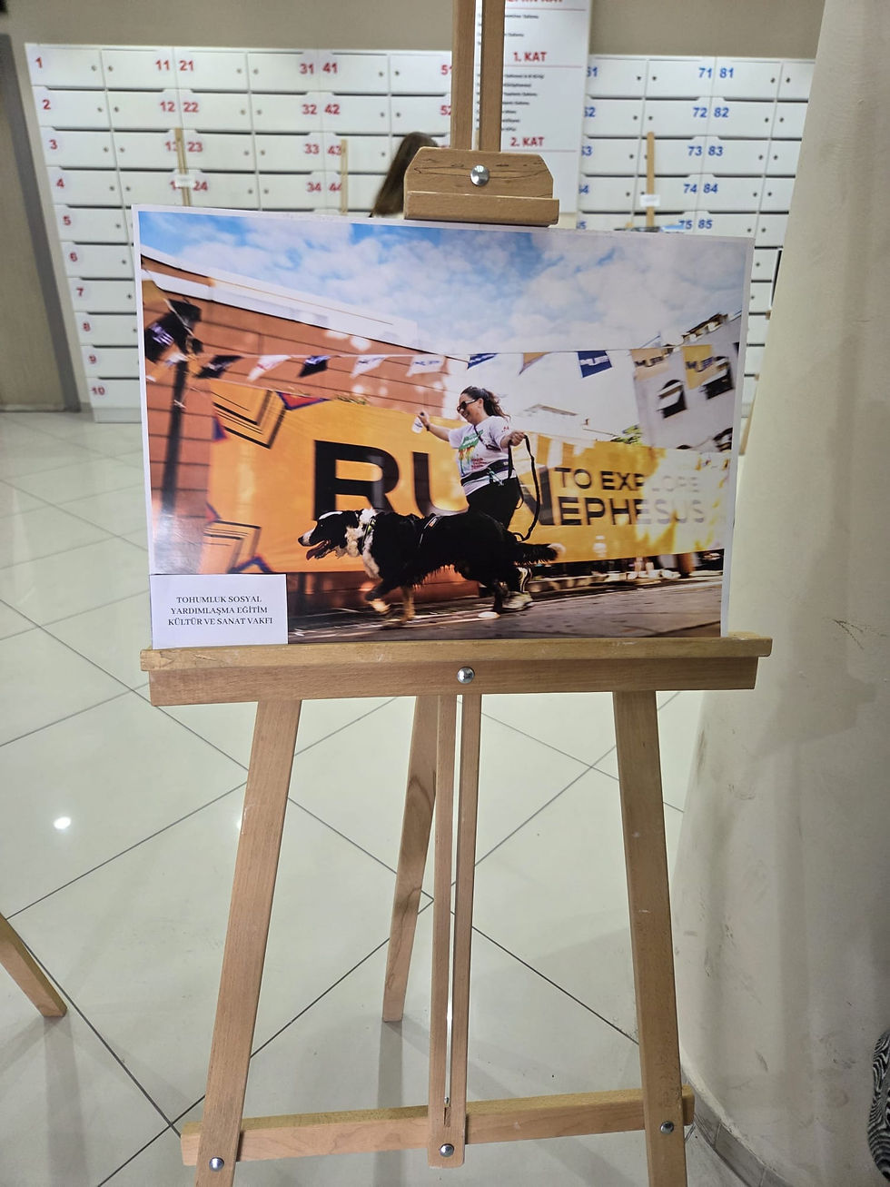 Dayanışmanın Kadrajı: İzmir'de “Birlikte Mümkün” Sergisindeydik