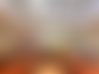 Bursa’da Ata Tohumları İçin Ortak Akıl Buluşması