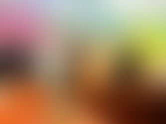 Bursa İl Sorumlumuz Aslıhan Sadıkoğlu Kornoşor, Bursa Kent Konseyi Bünyesinde Kurulan Tohum Toprak Yaşam Alt Çalışma Grubu Başkanlığına seçildi. 