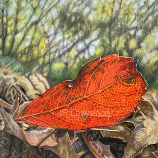 Dare to be Different, colored pencil