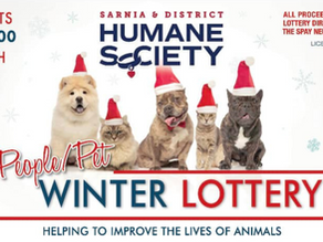 People Pet Lottery - A great stocking stuffer or gift for that animal lover on your list!