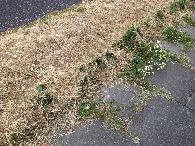 VANDALISM AND NEGLECT PART 3