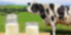 leche de vaca
