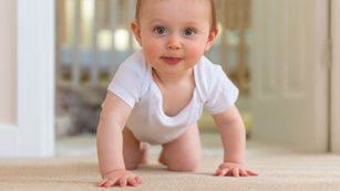 bebe gateando