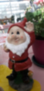 nanetto 1
