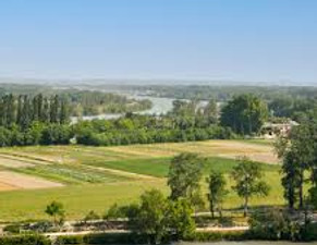 Ile Barthelasse.jpeg