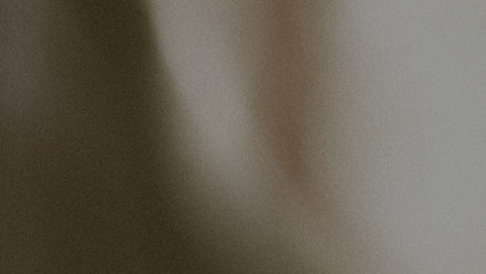 shutterstock_2611876035_edited.jpg