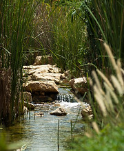 Albarari-3284 copy.jpg