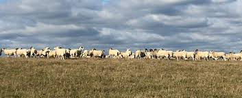 UK Land Reform