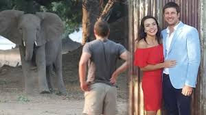 Trampled by Trust: Rethinking Elephant Safety in Africa