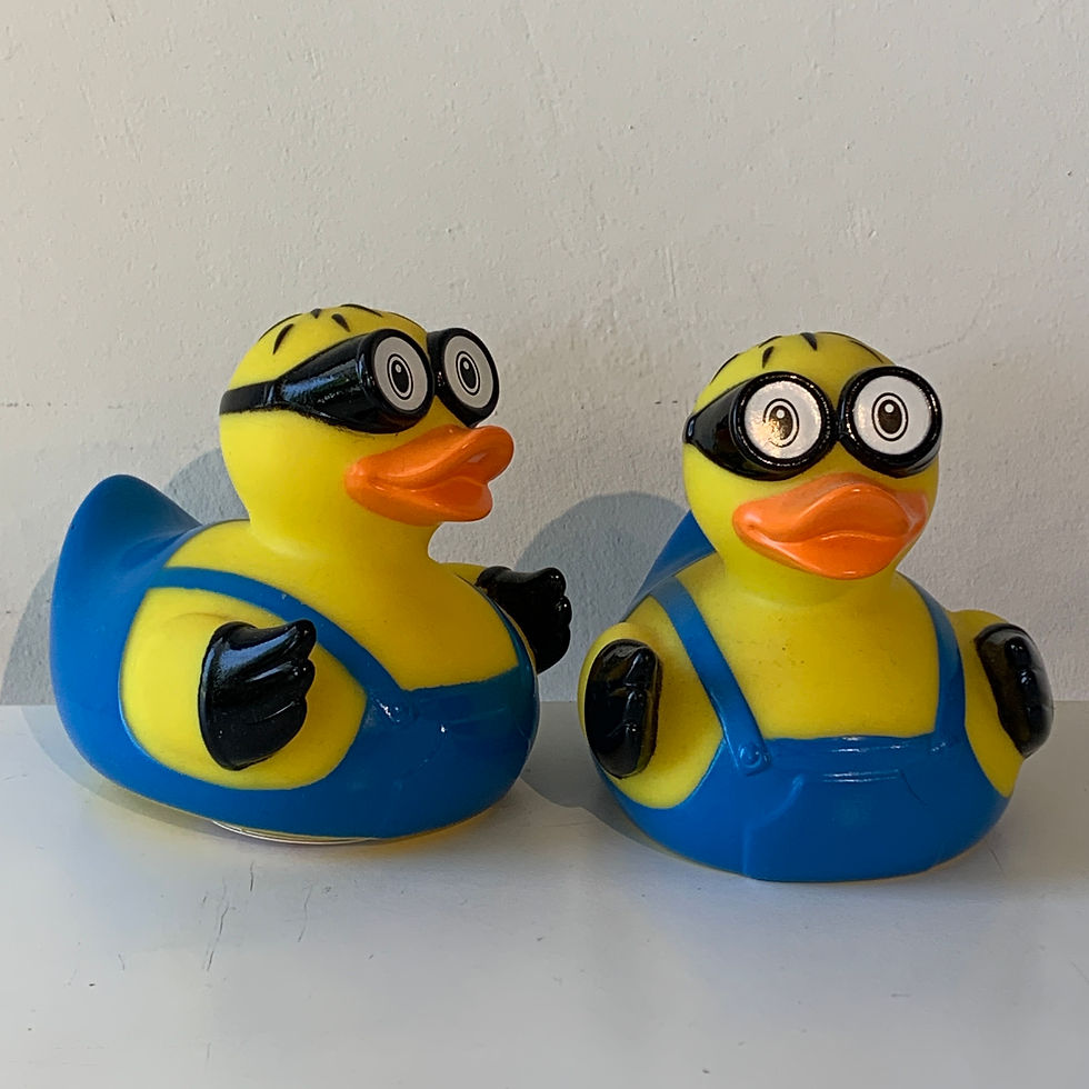 תמונה ממוזערת: ברווז לכל מצב🐥