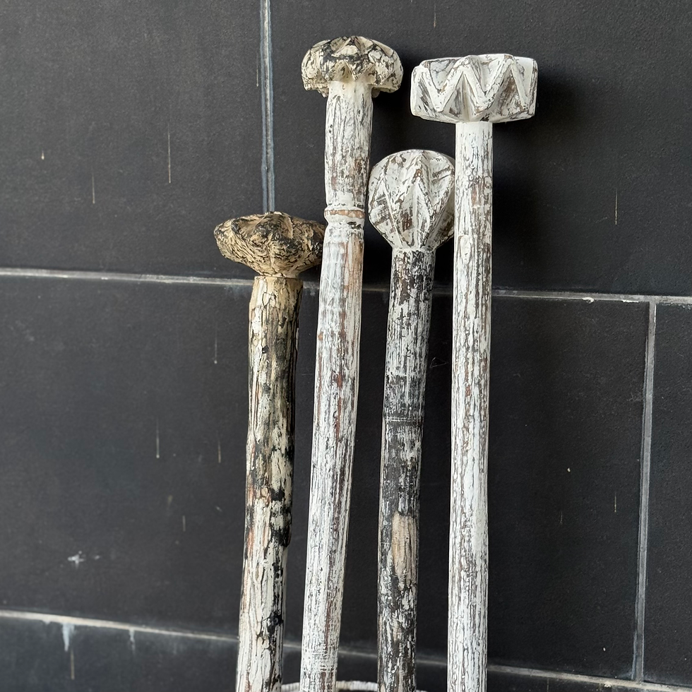 תמונה ממוזערת: מקלות חביצה דקורטיביים