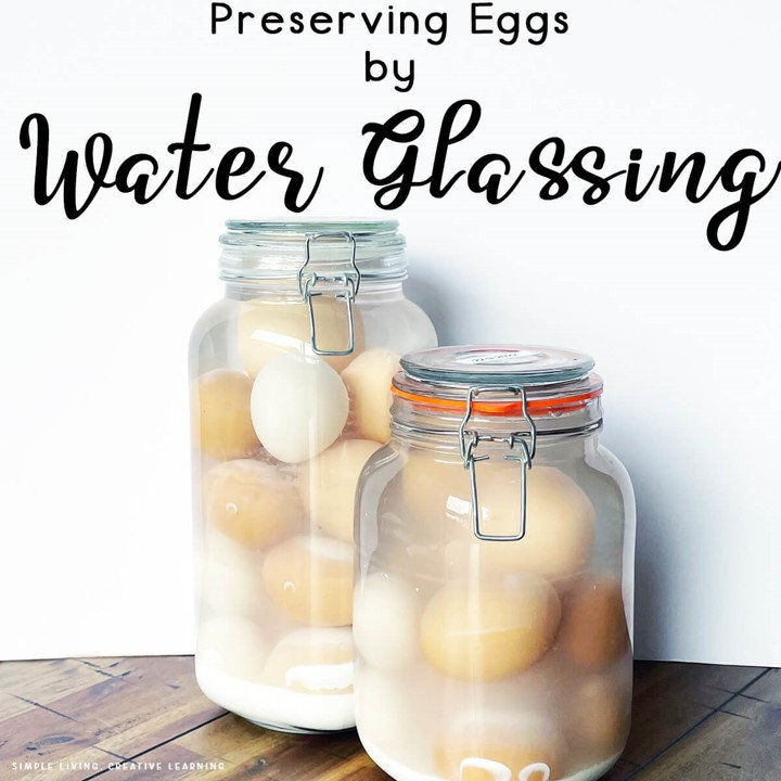 How To Water Glass Eggs Scottfamilyfarm how-to-water-glass-eggs-scottfamilyfarm