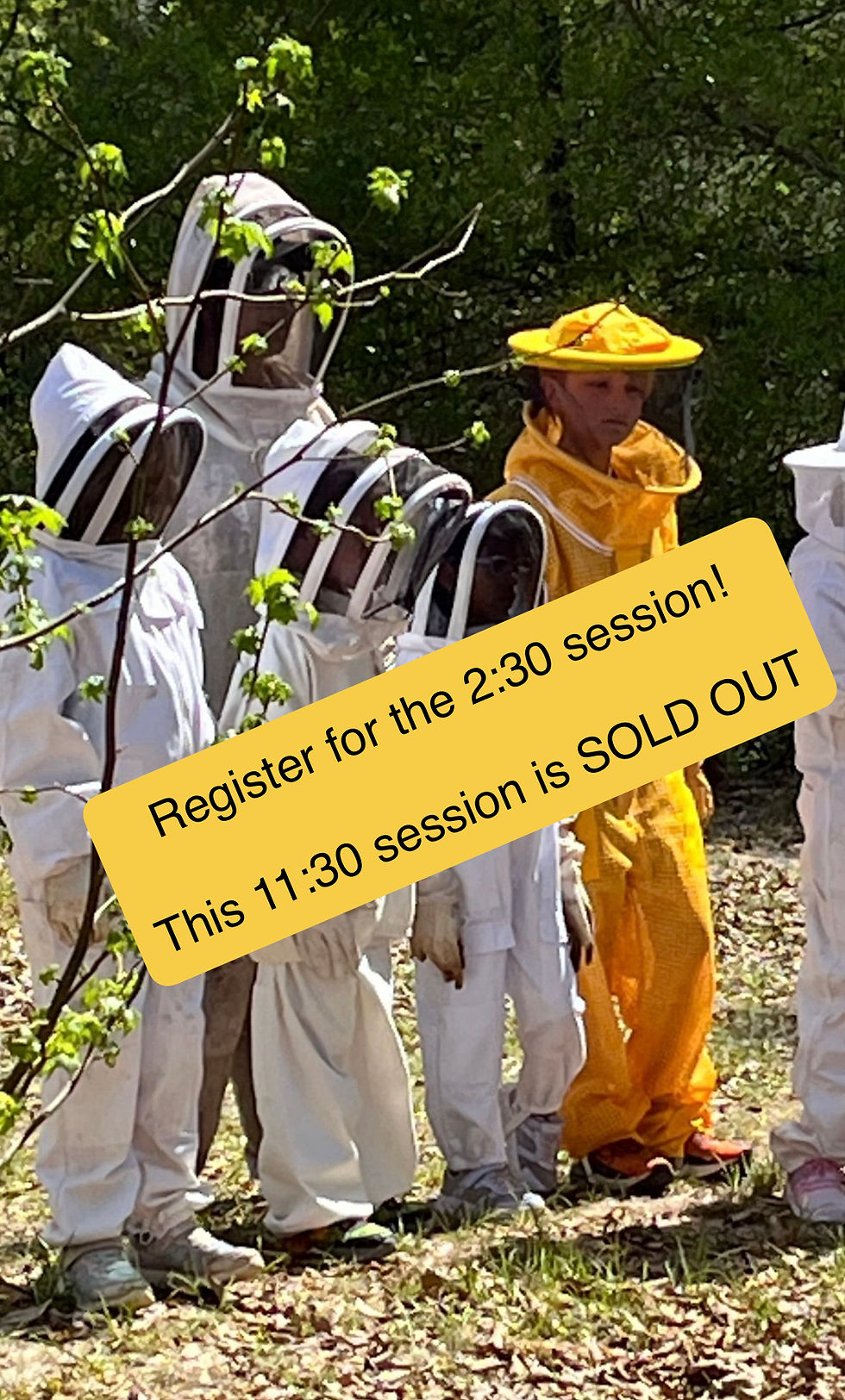 Beekeeping 301