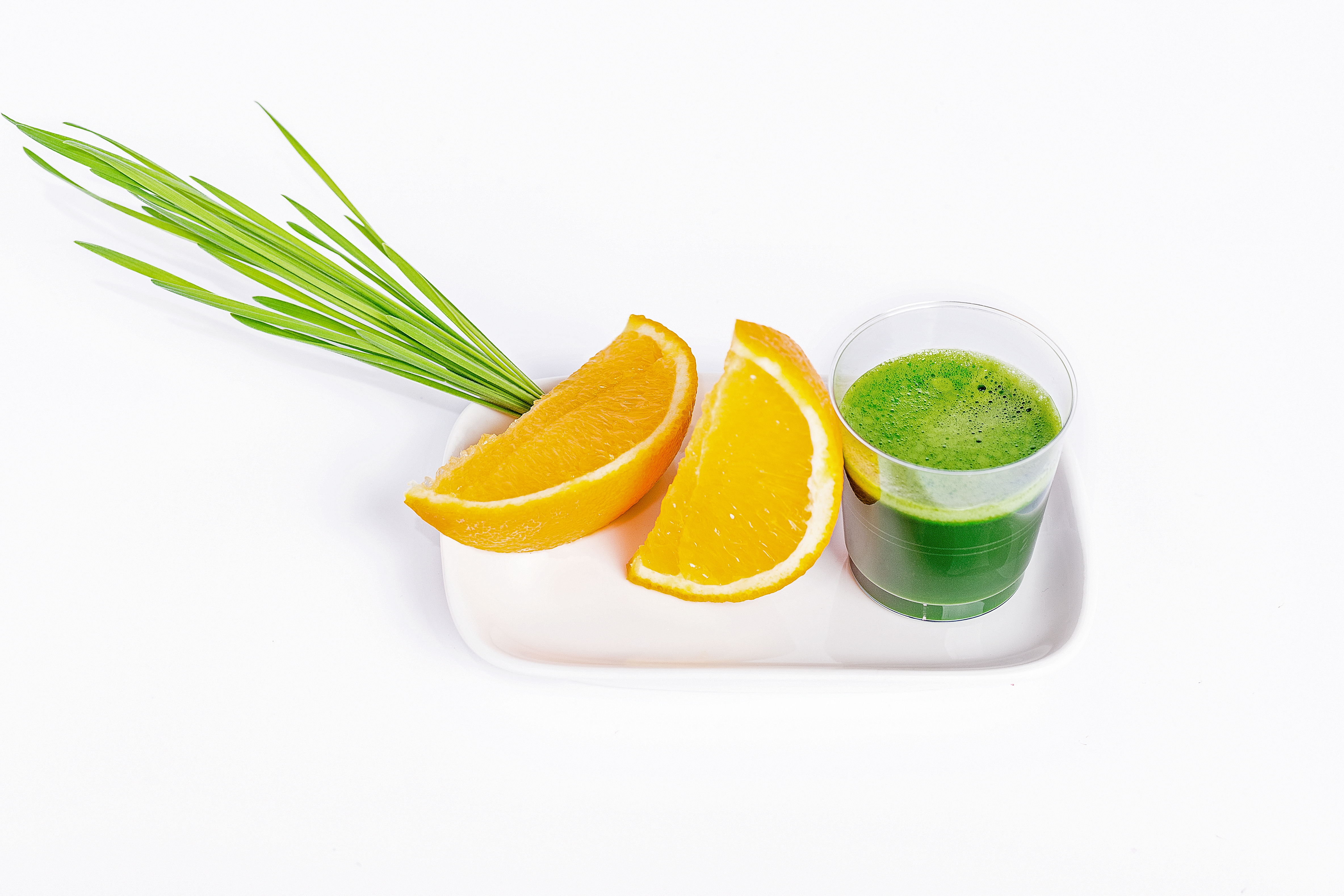 Wheatgrass Juice Slammer