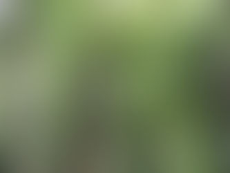 Río Cangrejal-Rafting