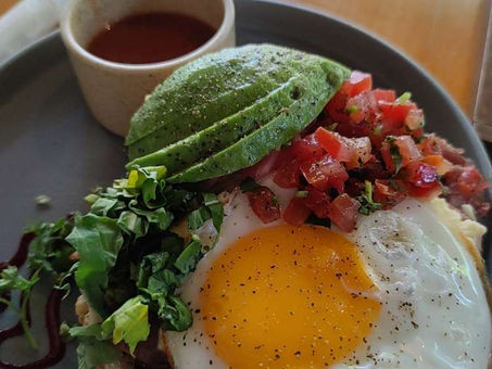 Isla Cozumel - Tauchkurs Theorie