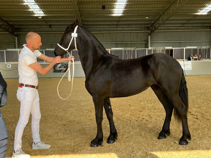 Supra GT van Wallbrook 3rd Premie.jpg