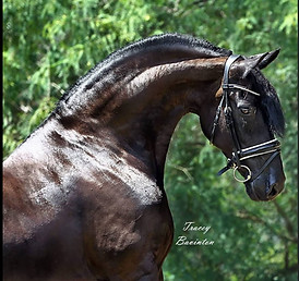 WhatsApp Image 2025-08-08 at 17.02.04.jpeg