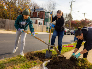 Why Street Trees Matter: An Earth Day from a Philadelphia Sidewalk