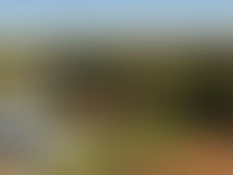 Why Arbor Day Still Matters 154 Years Later