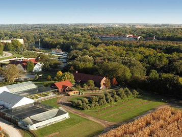 Why Arbor Day Still Matters 154 Years Later