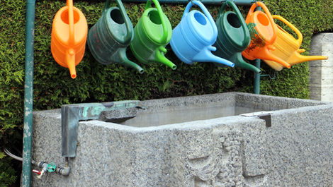 Why We Changed Our Minds on Irrigation