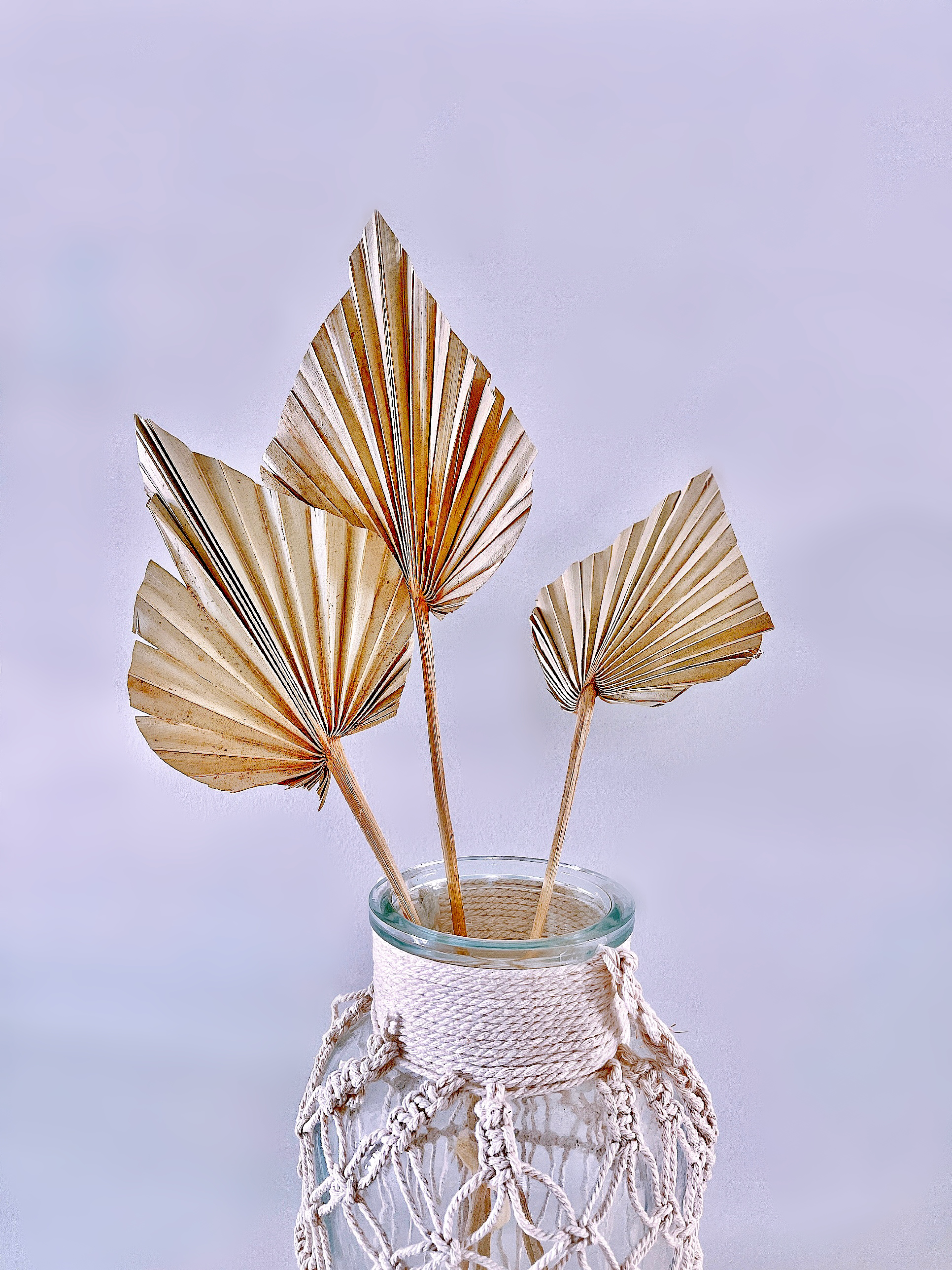 Dried palm spears (x3)