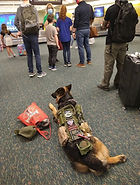 IMG_20210215_142724426.jpg