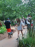 zoo dog crowds2 (2020_03_06 17_30_27 UTC).jpg