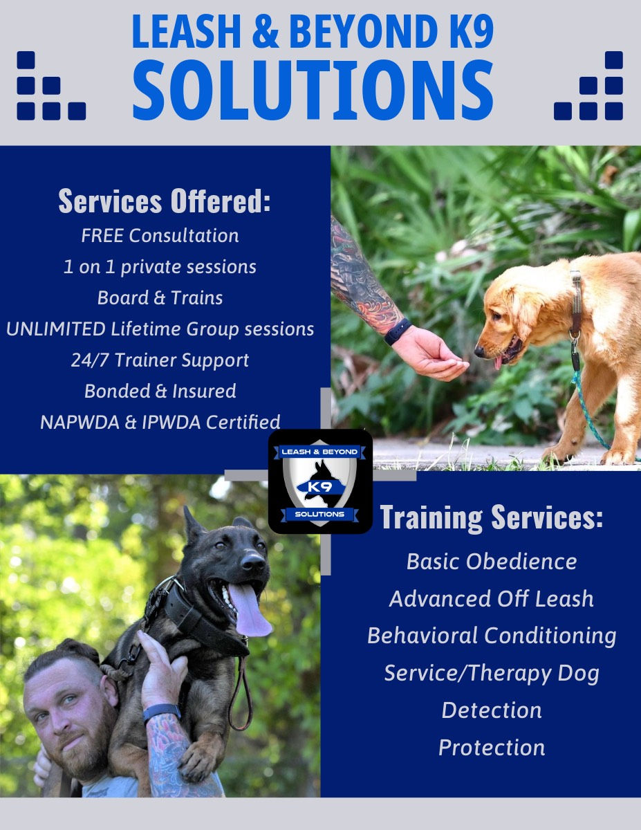 Unlocking the True Potential of Your Canine Companion with Leash & Beyond K9 Solutions