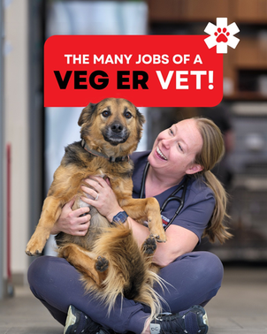 VEG ER for Pets — Putting Pets & People First in Emergencies