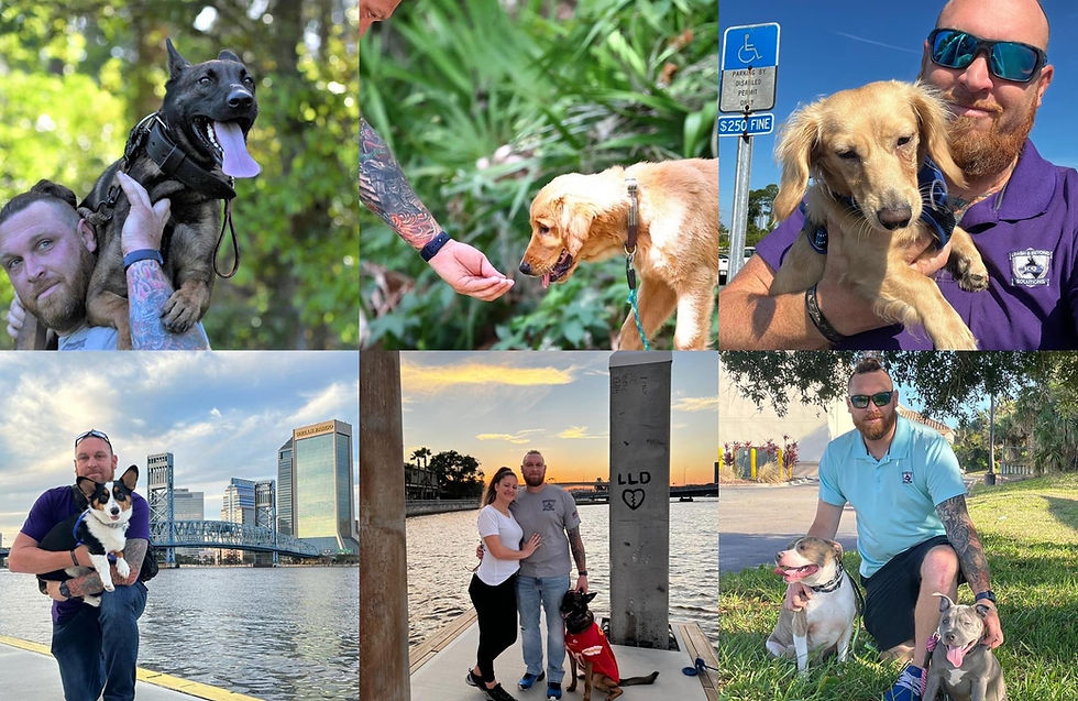 Unlocking the True Potential of Your Canine Companion with Leash & Beyond K9 Solutions