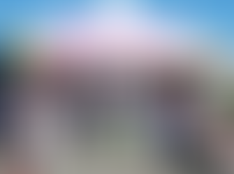 Lilly Greene Children's Boutique