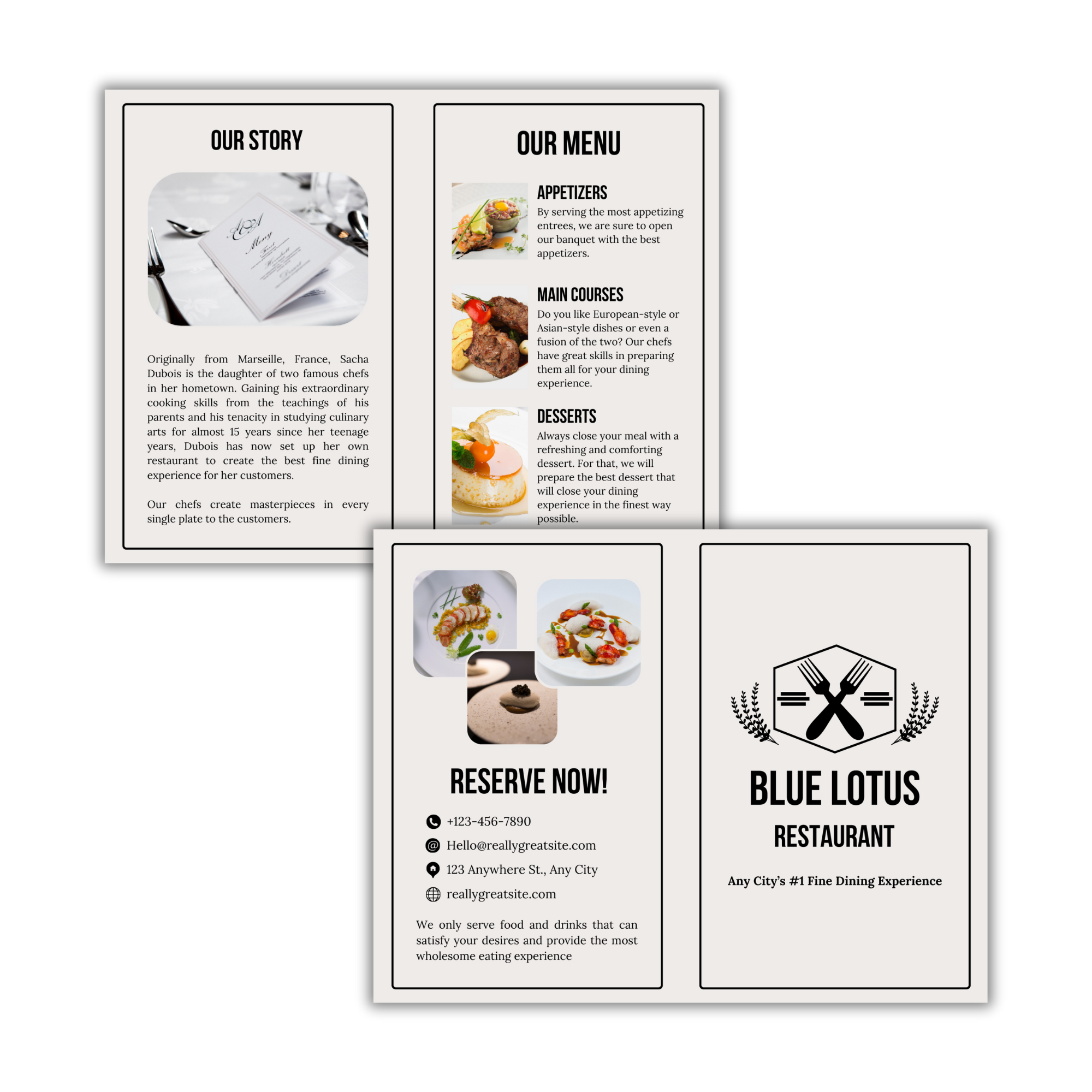 Bi-Fold Brochure Design #06 (Customized With Your Info - Ready in 2-7 Days)