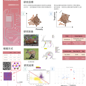 [實習成果] -- 仿生結構的力學模擬與分析