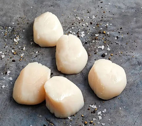 Scallops