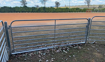 Sheep Goat Gate in Frame.jpg