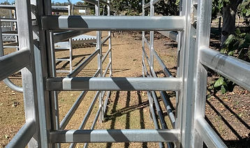 Sheep Goat Race Gate.jpg