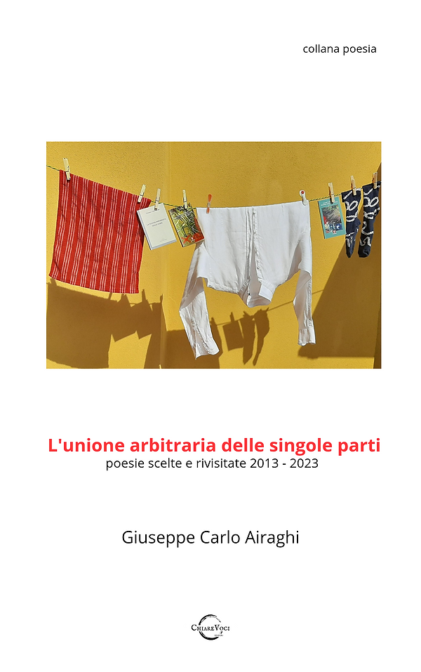 L'unione arbitraria delle singole parti.png