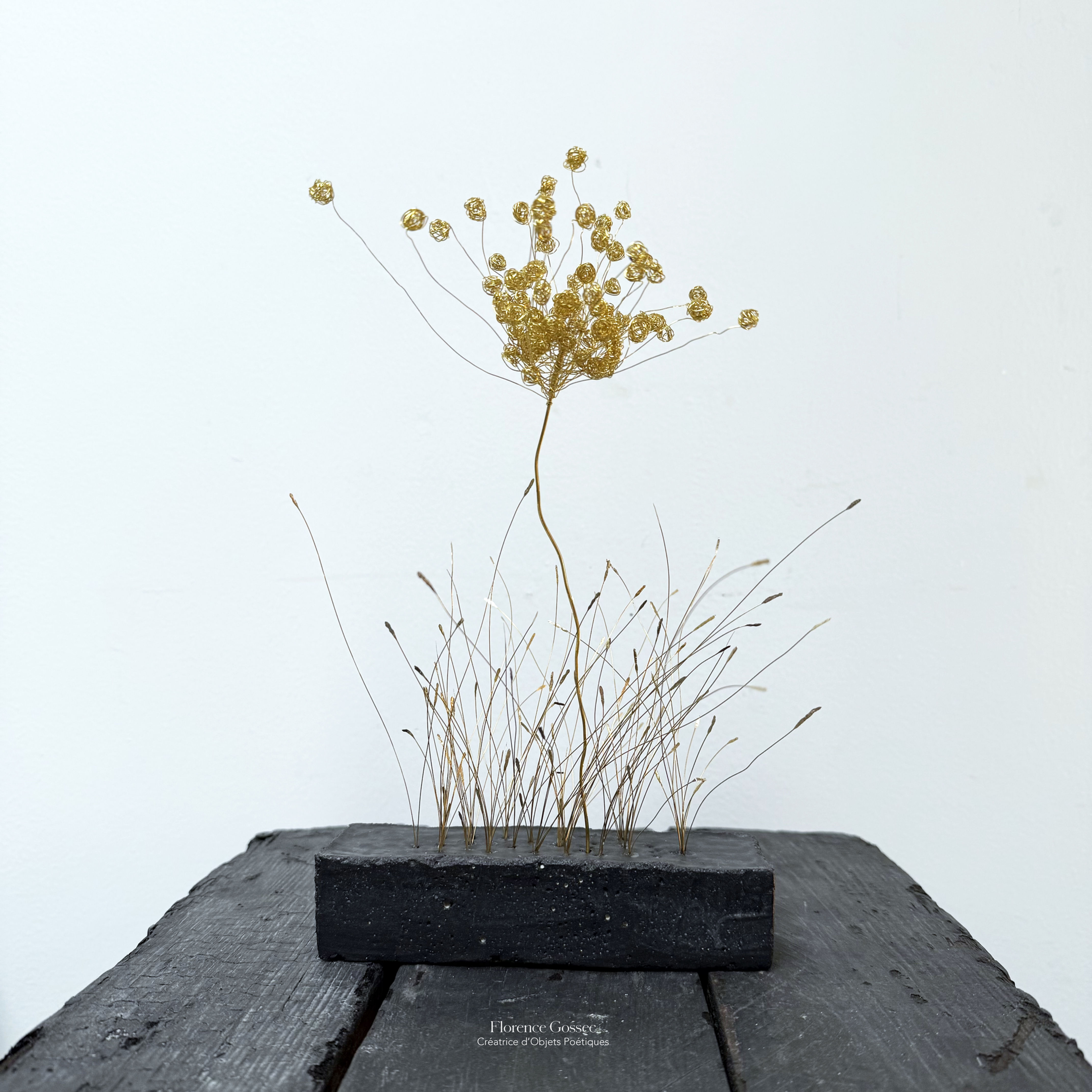 Fleur des champs dans les herbes folles