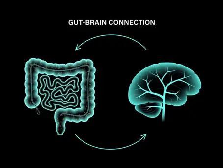 Gut Health and Neurodivergency: A Hidden Connection