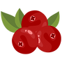 LoveZone.png
