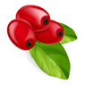 LoveZone (2).png