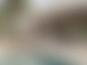 Resort-style outdoor living space with pool, sunken seating, and tropical landscaping opening to an interior living and dining area through sliding glass doors