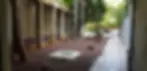 brodetsky 3.webp