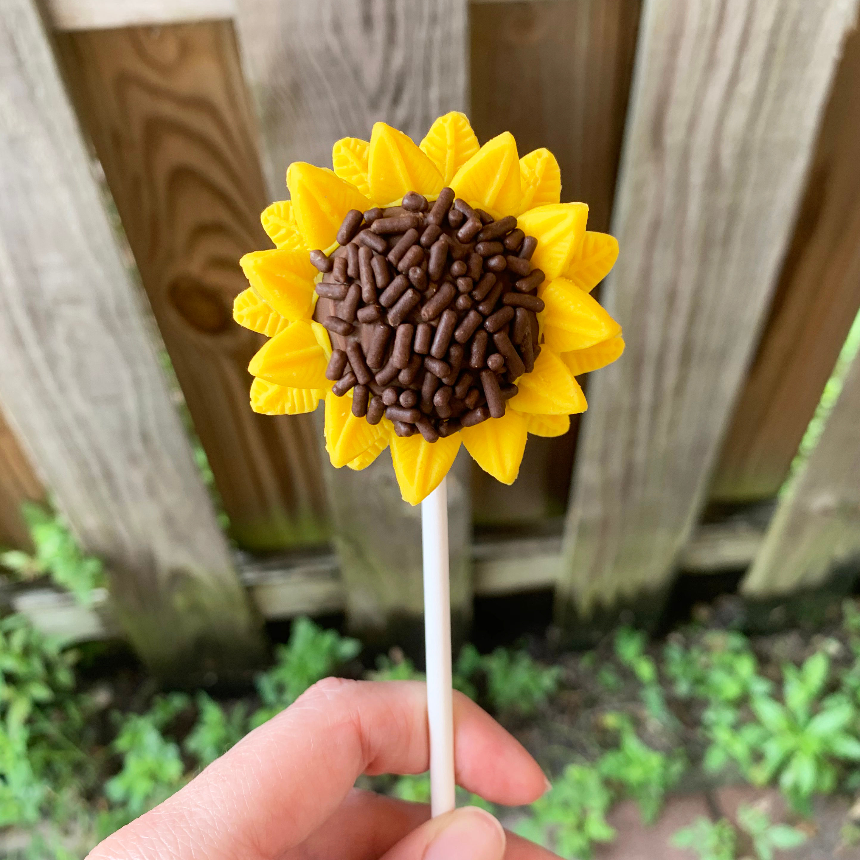 Sunflower Cake Pop