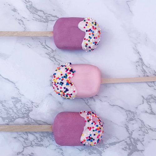 Dipped Mini Cakesicles The Cake Pop Factory