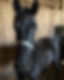 59AA229B-BCE8-4E1F-B8F0-24C18C4D896E.jpeg