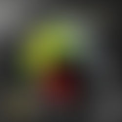 【PISTA GP RR -Soleluna 2021】預購中